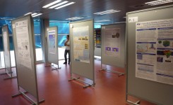 Poster Presentation